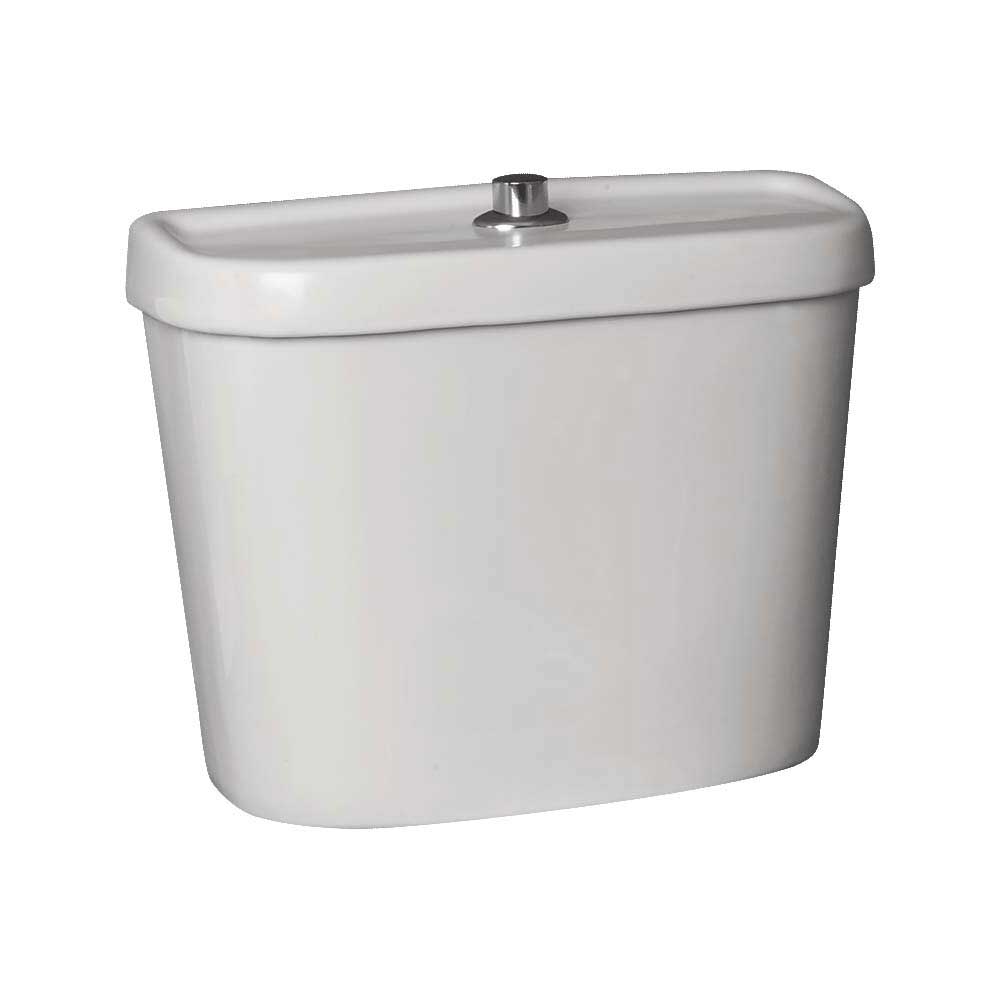 Arley Disabled Bathrooms Comfort Doc M Button Flush Close Couple Cistern